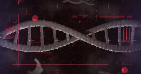 digital interface and data processing with dna strand - Download Free Stock Images Pikwizard.com