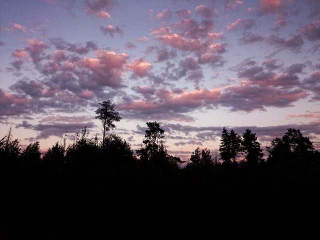 Serene twilight scene with pink clouds hovering above the silhouette of a forest. No visible human activity adds to the peaceful ambiance. Perfect for backgrounds, nature-themed projects, or promoting calm and tranquility.