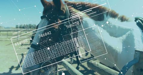 Augmented reality examined equine in rustic ranch environment