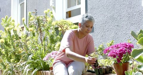 Senior Woman Gardening with Vibrant Flowers in Home Garden