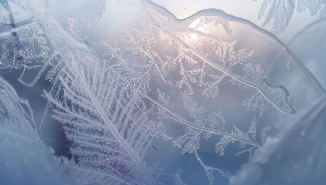 Delicate frost crystals on window with intricate patterns