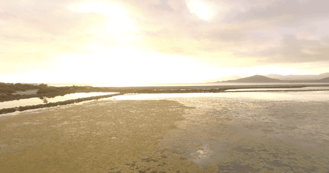 tranquil sea and cloudy sunset with transparent sky - Download Free Stock Videos Pikwizard.com
