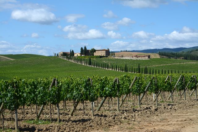 Scenic Tuscan Vineyard with Rolling Hills and Estate - Download Free Stock Photos Pikwizard.com