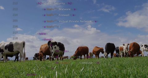 Digital Data Overlay on Cows in a Green Pasture - Download Free Stock Images Pikwizard.com