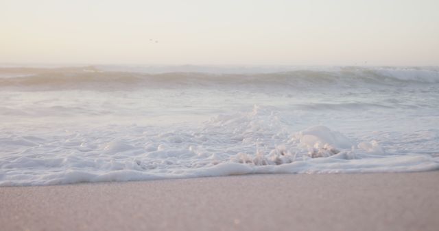 Gentle Waves Lapping at Sandy Beach during Sunset - Download Free Stock Images Pikwizard.com