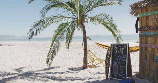 An inviting tropical beach scene with a hammock tied to a palm tree, sign for a surf shop, and lounge chair on white sand. Perfect for websites related to travel, summer vacation, coastal leisure, surfing lessons, beach resorts, and relaxation themes.