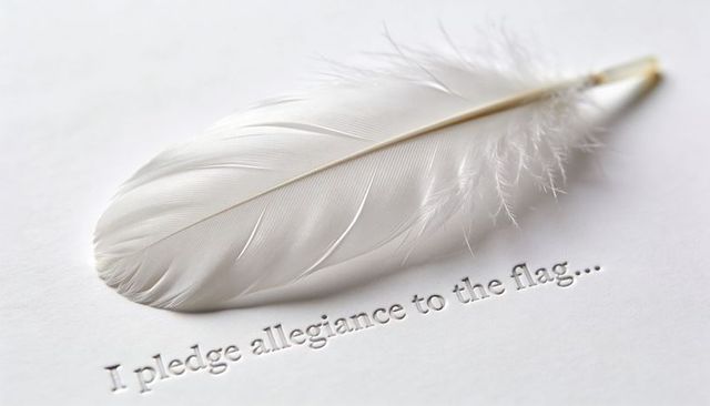 White feather resting on embossed i pledge allegiance to flag text minimalist concept