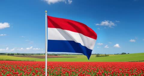 Netherlands Flag Waving Over Tulip Fields with Countryside