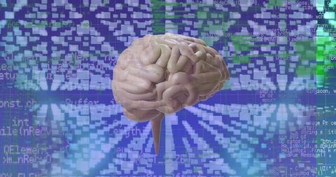 Brain and Data Processing with Digital Interface Background - Download Free Stock Images Pikwizard.com