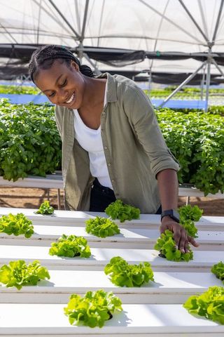 Woman touching lettuce in high-tech hydroponic greenhouse