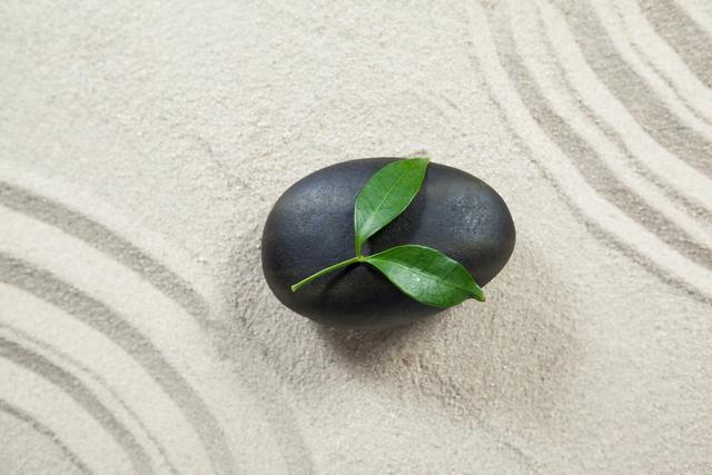 Leaves on black pebble stone on a sand