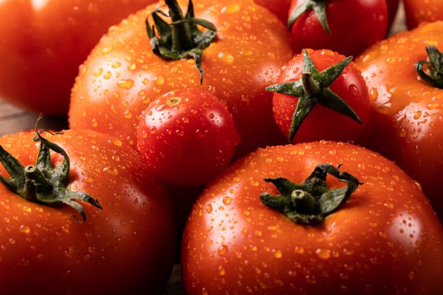 This image showcases a close-up view of fresh, wet organic red tomatoes. Ideal for use in food blogs, healthy eating promotions, organic produce advertisements, and farm-to-table restaurant menus. Perfect for illustrating concepts of nutrition, freshness, and natural ingredients.