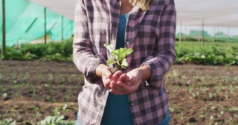 Woman Holding Seedling in Modern Organic Farm