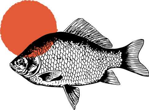 Minimalistic fish artwork with red circle on transparent background