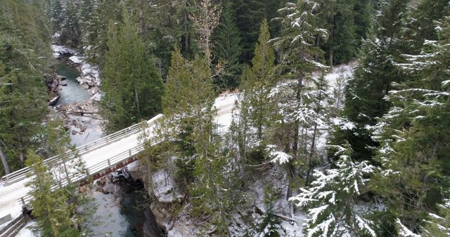 Scenic Snow-Covered Forest with Bridge over River - Download Free Stock Images Pikwizard.com