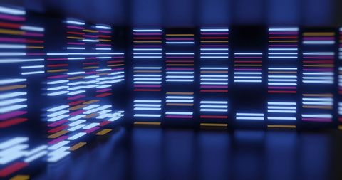 Abstract Neon Lines Against a Dark Background