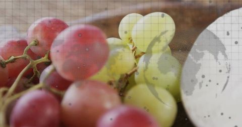 Fresh Red and Green Grapes with Digital Global Overlay