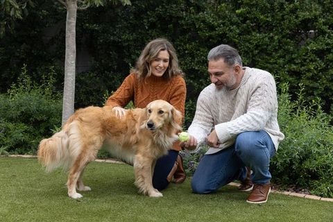 Kneeling couple playing with golden retriever on cozy backyard lawn holding tennis ball
