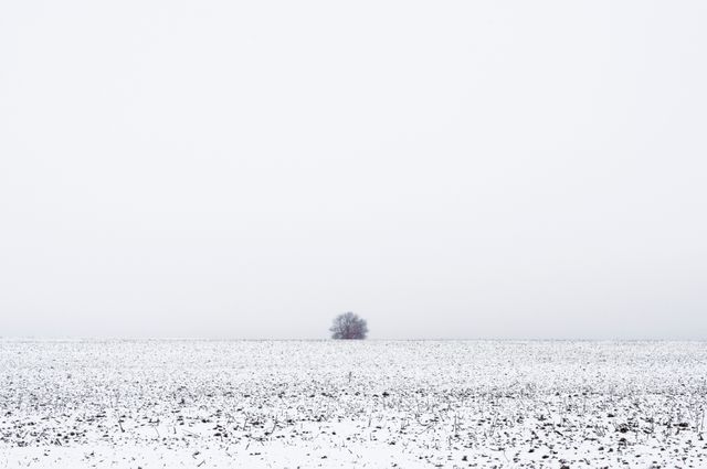 Lone tree stands in vast snow-covered field under overcast sky. Perfect for illustrating serenity, calmness, and the beauty of winter landscapes. Ideal for blogs, websites, or magazines focused on nature, minimalism, and seasonal imagery. Can be used in advertisements for winter gear or travel to rural, tranquil destinations.