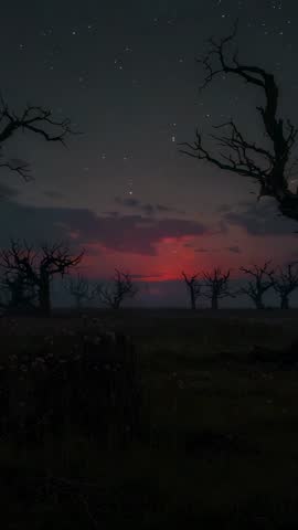 Vertical dusk glowing red over barren plain with silhouetted trees and emerging stars