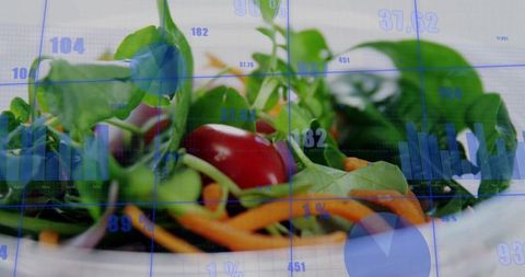Healthy Salad with Data Overlay Showing Nutrition Metrics and Fresh Vegetable Analytics