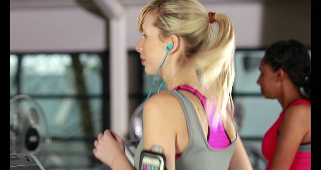 Women Exercising on Treadmills in Modern Gym Environment - Download Free Stock Images Pikwizard.com