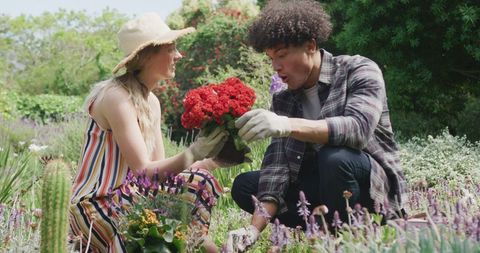 Happy Couple Gardening Under Sunny Sky - Download Free Stock Images Pikwizard.com