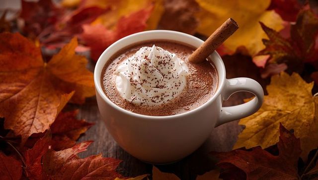 Cozy Autumn Hot Chocolate with Whipped Cream and Cinnamon
