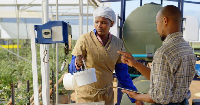 African Farmers Weighing Produce and Discussing Records in Modern Greenhouse - Download Free Stock Images Pikwizard.com