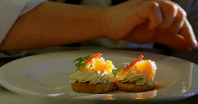 Chef Plating Gourmet Hors d'Oeuvres Appetizers - Download Free Stock Images Pikwizard.com