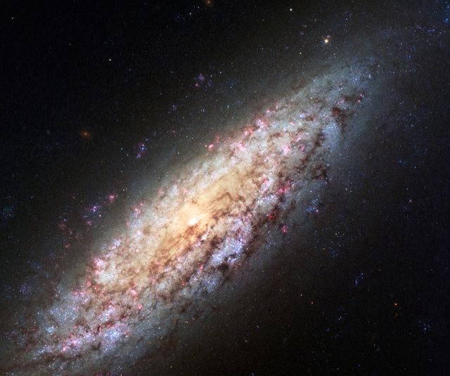 The image showcases NGC 6503, a galaxy located in a sparse region known as the Local Void. Captured by the Hubble Space Telescope, the visual features rich colors and detail, including bright red patches of gas, bright blue star-forming regions, and dark brown dust lanes. Ideal for illustrating concepts in astronomy, cosmic phenomena, and space education. Use in educational materials, astronomy books, space science articles, and informative presentations.