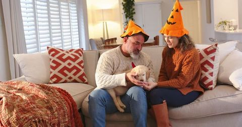 Couple wearing pumpkin cone hats cuddling puppy on cozy autumn living room sofa