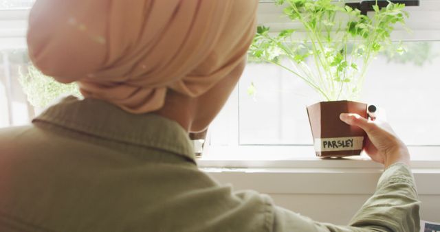 Woman Tending Indoor Herb Garden with Parsley - Download Free Stock Images Pikwizard.com