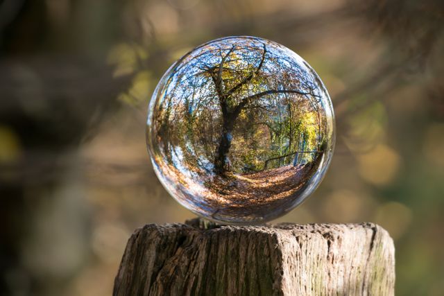 Crystal glass ball displaying a reflection of autumn forest scene, placed on wooden stump. Vibrant fall colors, with trees and fallen leaves captured in spherical reflection. Ideal for concepts in nature themes, optical illusions, tranquility, meditation, reflective thinking, and seasonal beauty promotions.