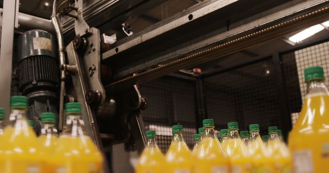 Bottled Orange Juice Production Line in Factory - Download Free Stock Images Pikwizard.com