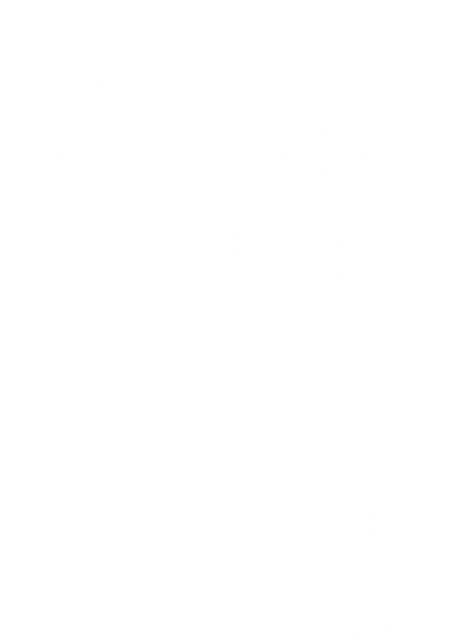 Silhouette of Excited Golf Player on Transparent Background - Download Free Stock Videos Pikwizard.com