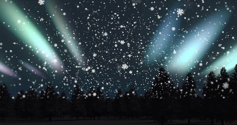 Peaceful Winter Night with Snow and Northern Lights