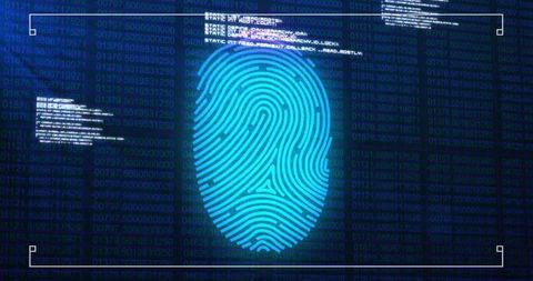 Fingerprint Scan with Digital Data Interface Concept - Download Free Stock Images Pikwizard.com