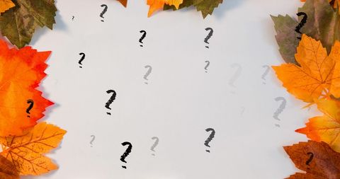 Question marks amidst autumn leaves on blank background