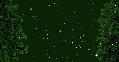 Festive winter background with pine branches and snowflakes