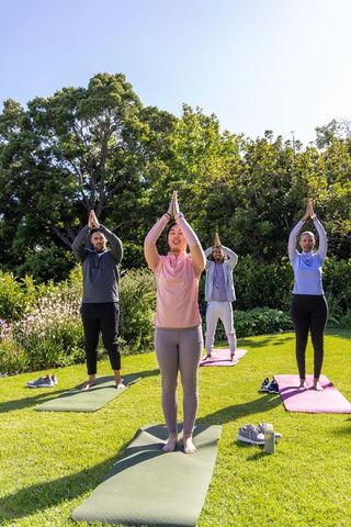 Group practicing outdoor standing yoga on sunny lawn with african american friends morning