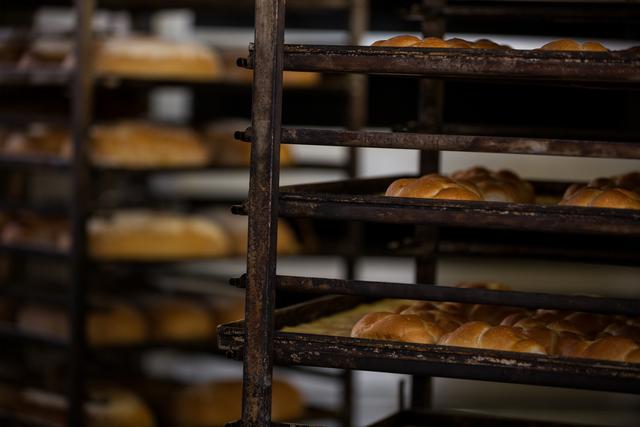 Freshly baked breads and buns cooling on industrial shelves in a bakery. Ideal for use in articles about baking, food production, artisanal bread making, and bakery business operations. Can also be used in promotional materials for bakeries, cooking classes, and culinary schools.