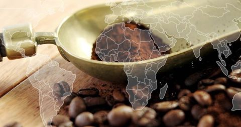 Brass coffee scoop holding ground coffee with world map overlay representing global bean origins