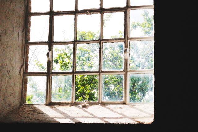 This image captures sunlight streaming through an old glass window, highlighting the lush greenery outside. It reflects a peaceful setting with a rustic vintage charm, offering an ideal backdrop for topics related to nature, historical buildings, architectural details, spring and summer themes, or concepts of tranquility and solitude. The image can be used in articles, blogs, and promotional materials focusing on garden views, natural light, or rustic designs.