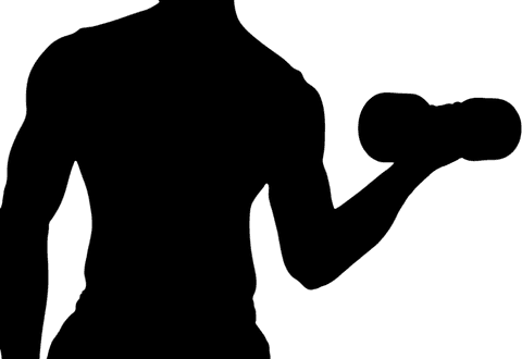 Muscular man exercising with dumbbells on transparent background