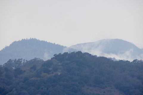 Misty Mountain Landscape with Dense Foliage and Rolling Hills