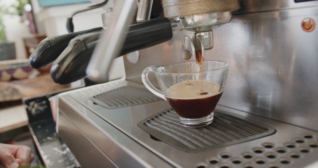 Ideal for cafes, barista training, coffee shop advertisements, or articles on coffee preparation and equipment. This image highlights the process of brewing a fresh cup of espresso, showing precision in a professional coffee-making setting.