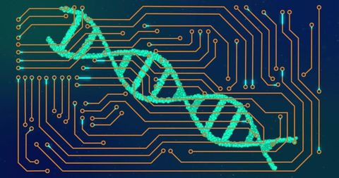 DNA and Circuit Board Symbolizing Bioinformatics and Technology Fusion