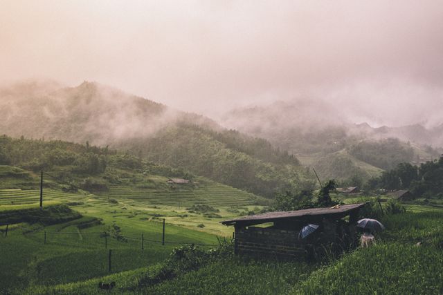 A breathtaking view of misty hills blanketed in green, showcasing terraced rice paddies in a rural Asian setting. Ideal for promoting travel destinations, rural life documentaries, environmental conservation, nature photography, and cultural publications. Perfect as a scenic backdrop emphasizing tranquility and natural beauty.