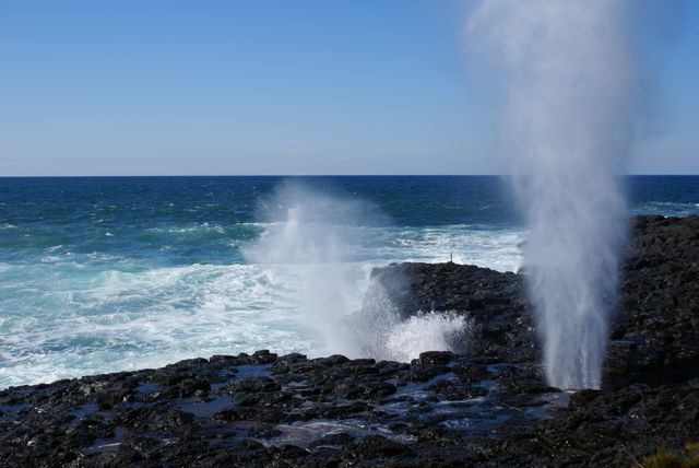 Water spouts erupting on a rocky coastline with crashing waves and a clear blue sky, showcasing the power and beauty of nature. Ideal for use in travel and nature blogs, educational materials about natural phenomena, and promotional content for coastal destinations.